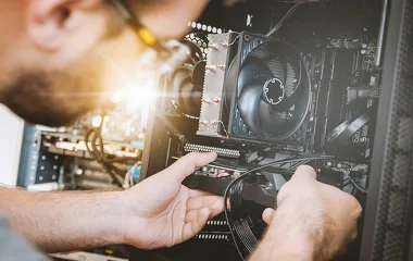 Structural and Functional Components