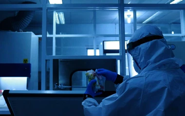 Compliance with GMP and Regulations